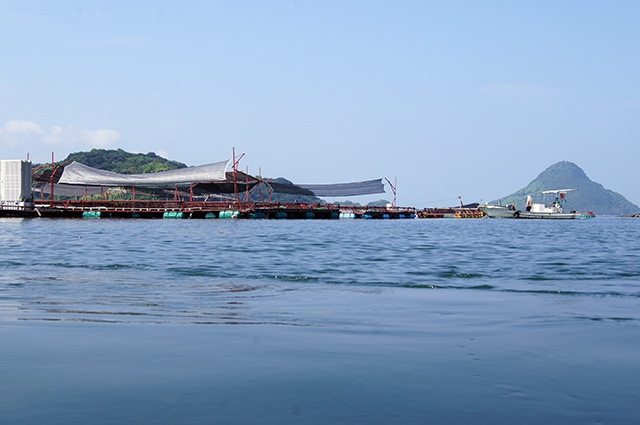 海上釣堀