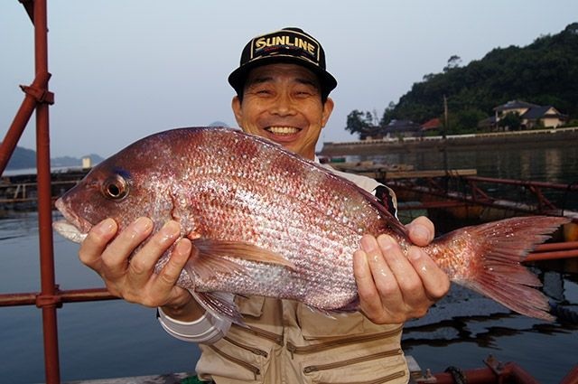 1kg級のちょうど食べ頃です。